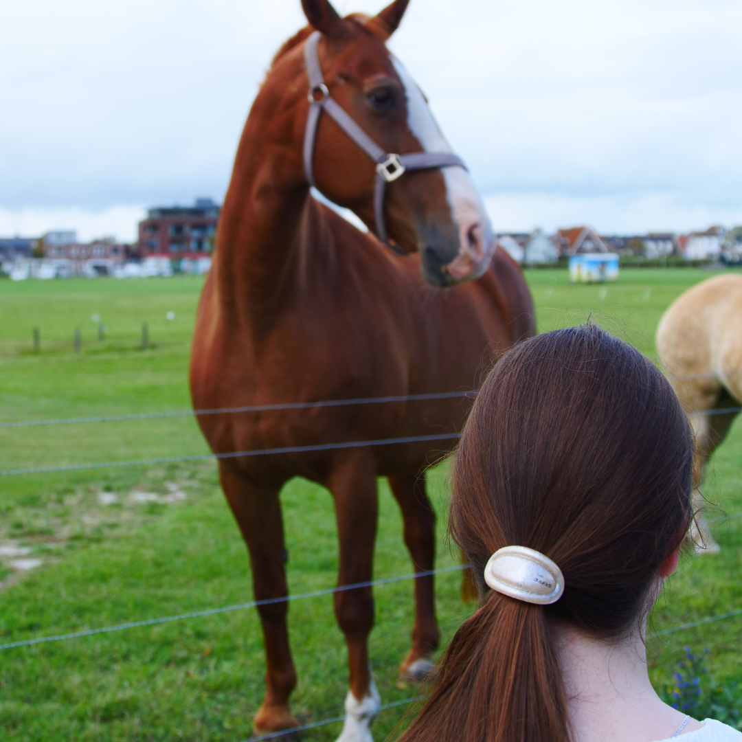 Hair Ties